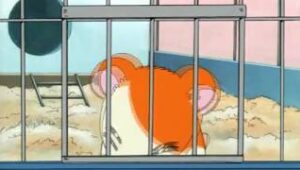 Hamtaro Episodio 03 Dublado Online