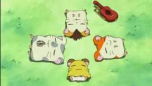Hamtaro Episodio 09 Dublado Online