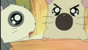 Hamtaro Episodio 11 Dublado Online
