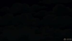 Os Simpsons 20×21 Dublado Online