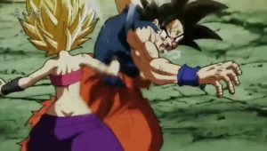 Dragon Ball Super 113 Dublado Online