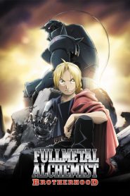 Fullmetal Alchemist: Brotherhood Dublado Online